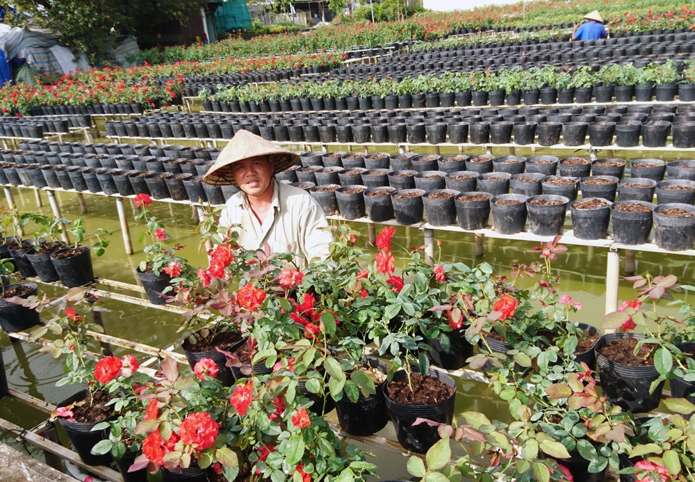 Đồng Tháp: Khai thác làng nghề truyền thống phát triển du lịch