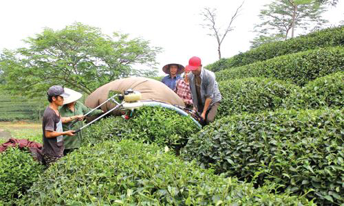 Yên Sơn (Tuyên Quang): Mỹ Bằng tập trung xây dựng Nông thôn mới kiểu mẫu