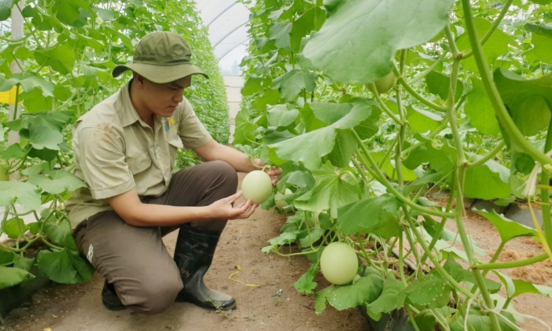 Bình Dương: Làng thông minh – Sự cần thiết cho phong trào xây dựng Nông thôn mới