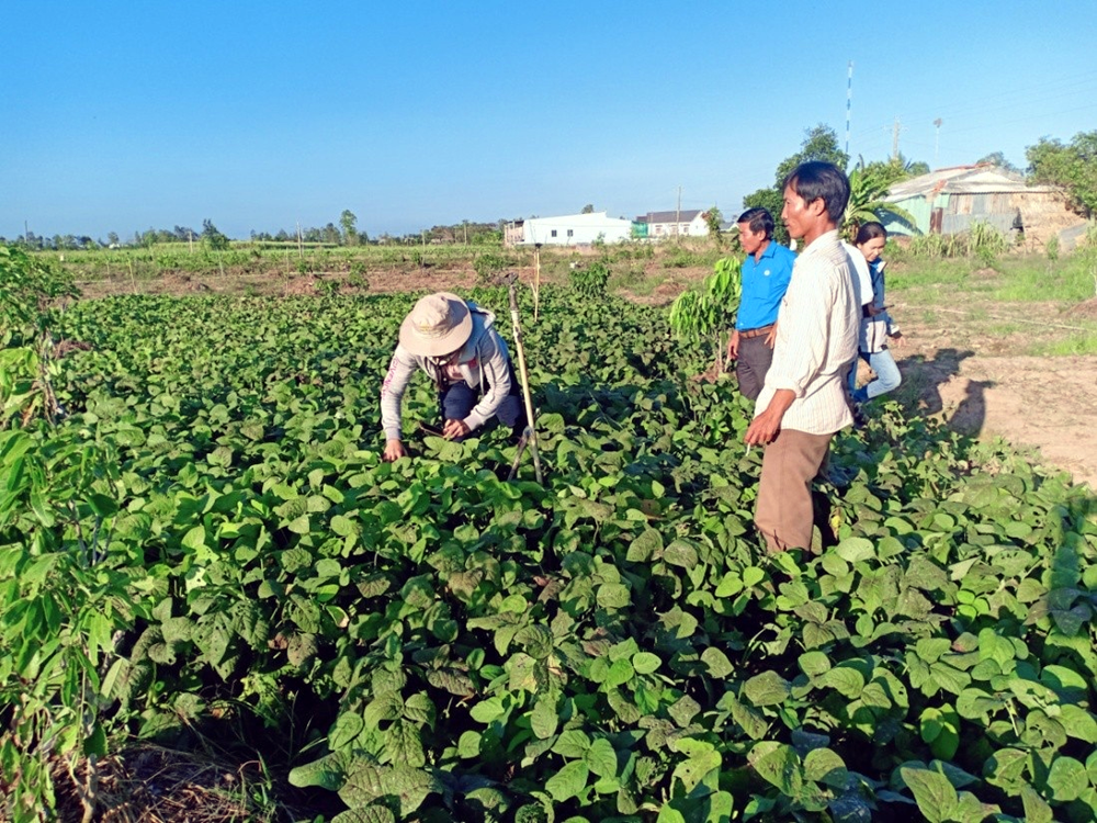 Sóc Trăng: Huyện Cù Lao Dung tổ chức Hội nghị triển khai kế hoạch thực hiện huyện nông thôn mới năm 2023