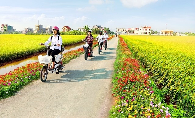 Phước Long (Bạc Liêu): Tập trung mọi nguồn lực tiến đến nông thôn mới kiểu mẫu