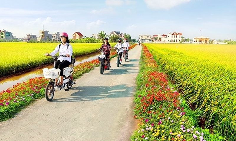 Phước Long (Bạc Liêu): Tập trung mọi nguồn lực tiến đến nông thôn mới kiểu mẫu