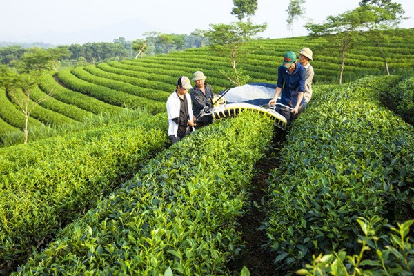 Thành phố Tuyên Quang: Hành trình 10 năm hoàn thành nhiệm vụ xây dựng Nông thôn mới