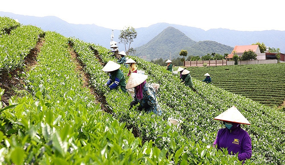 Thái Nguyên: Đại Từ phấn đấu sớm trở thành huyện nông thôn mới