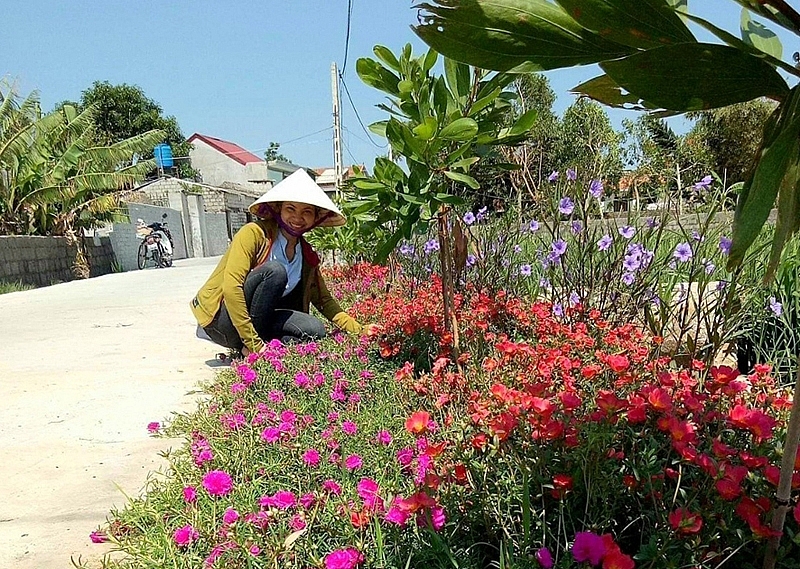 Quỳnh Lưu (Nghệ An): Khởi sắc từ chương trình xây dựng Nông thôn mới