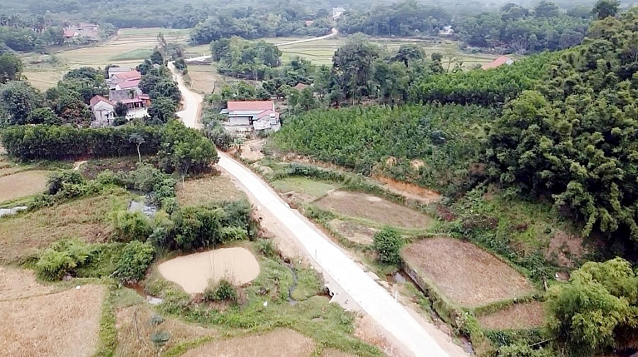 Sống tại vùng đặc biệt khó khăn có được giao đất không qua đấu giá?