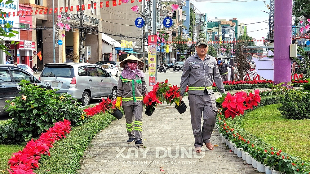 Đáng yêu như “Mèo Quảng Ngãi”