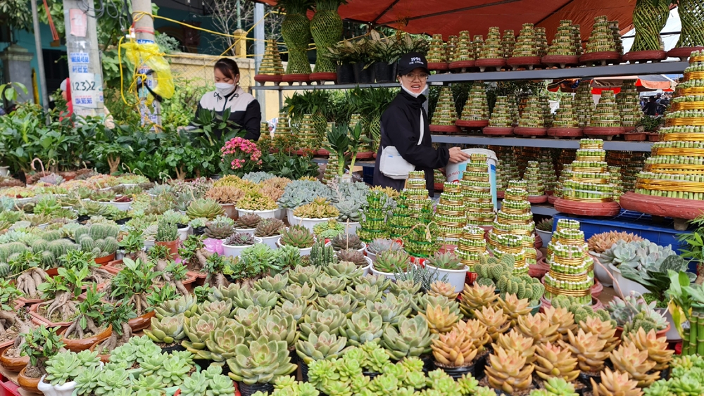 Nam Định: Hội chợ Viềng đón hàng nghìn người du xuân đầu năm mới