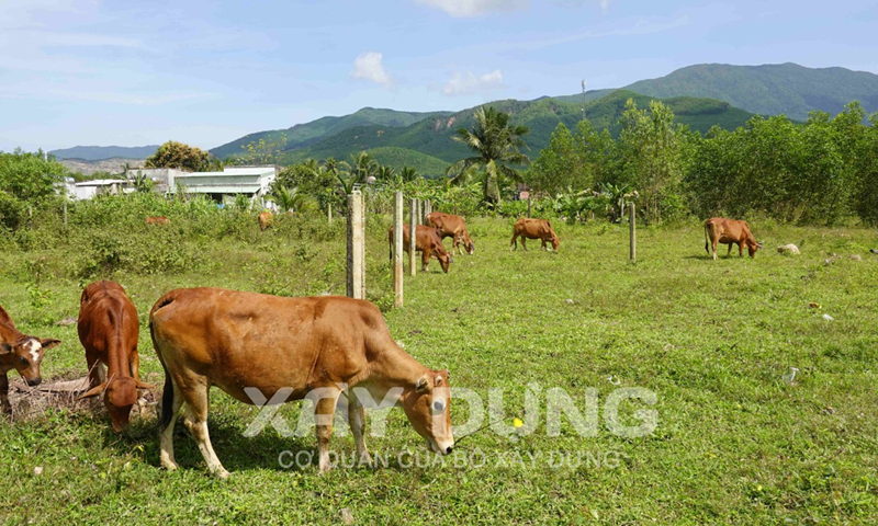 Bình Định: Xử lý dứt điểm tình trạng vi phạm về trật tự xây dựng tại xã Phước Mỹ