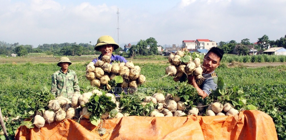 Thái Nguyên: Đại Từ quyết tâm sớm về đích xây dựng huyện Nông thôn mới