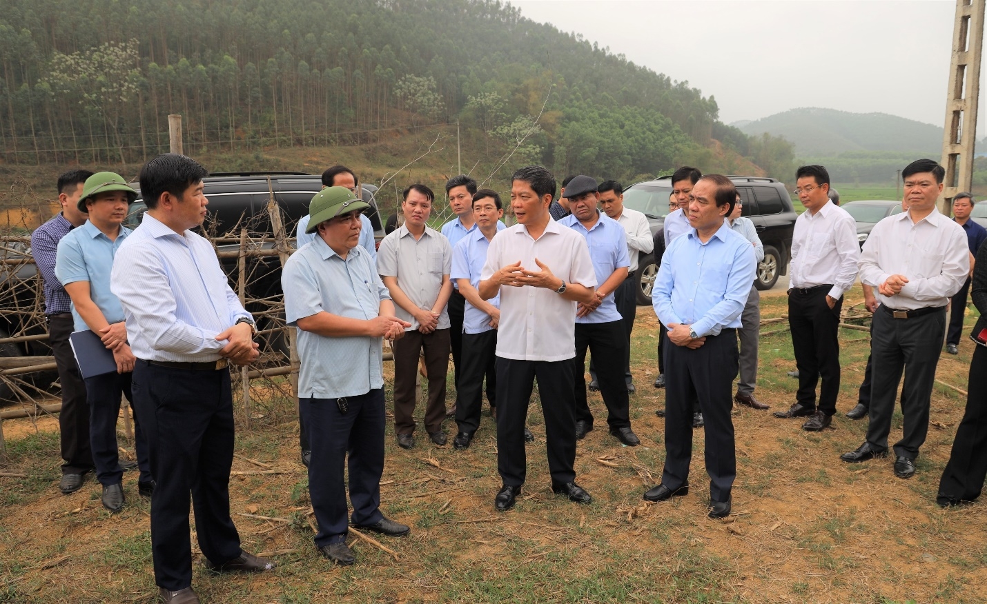 Xây dựng Tuyên Quang trở thành trung tâm sản xuất chế biến gỗ của vùng Trung du và miền núi Bắc Bộ