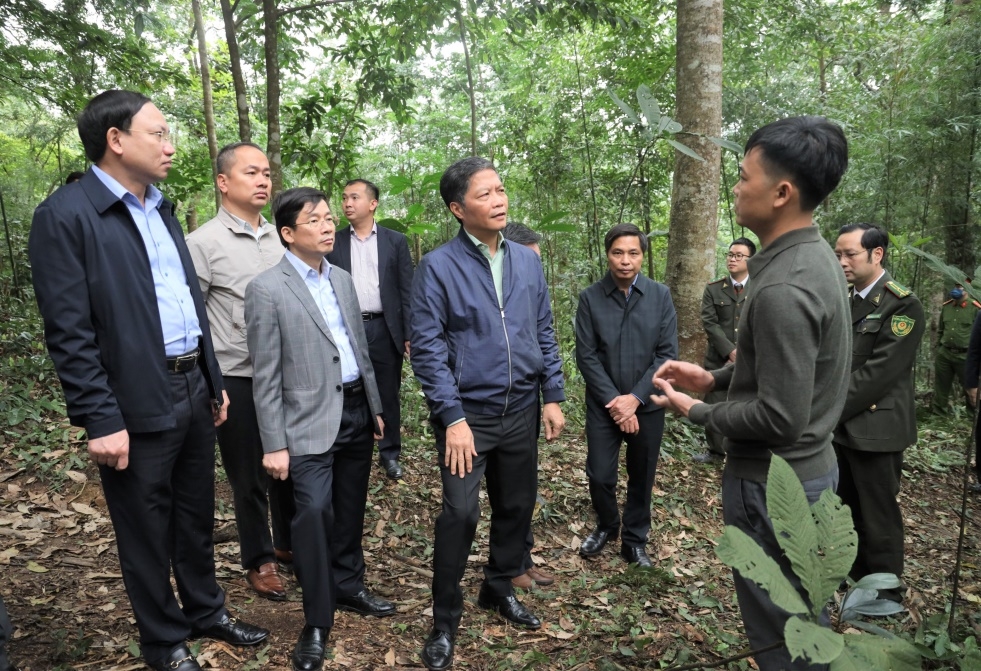 Nâng cao hiệu lực, hiệu quả quản lý, sử dụng đất đai, đất quy hoạch lâm nghiệp