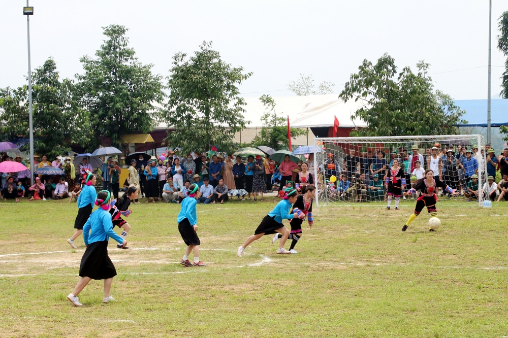 Móng Cái (Quảng Ninh): Lễ hội Hoa sim biên giới năm 2023