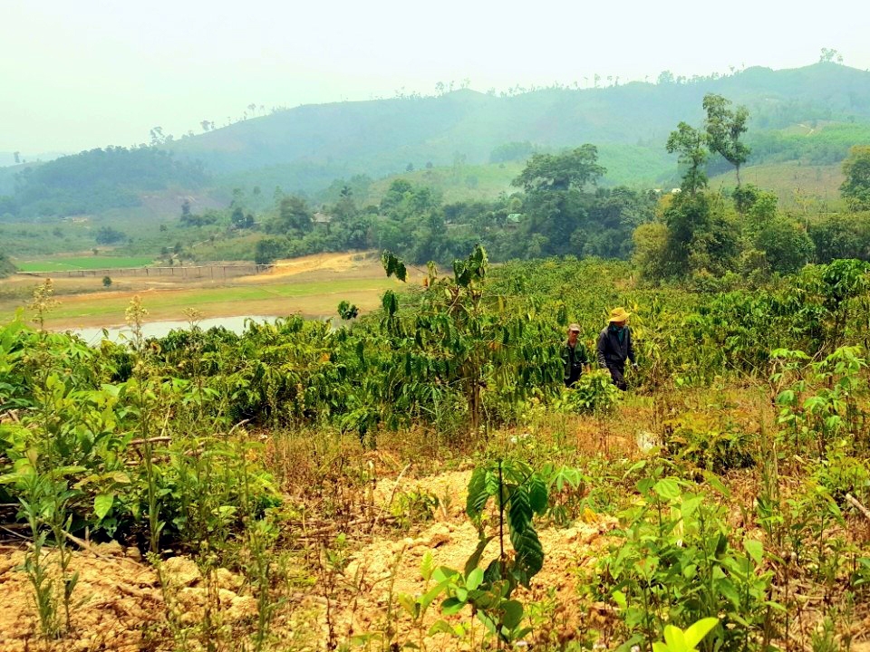 Ea Kar (Đắk Lắk): Nỗ lực đền bù, giải phóng mặt bằng cao tốc Khánh Hòa – Buôn Ma Thuột