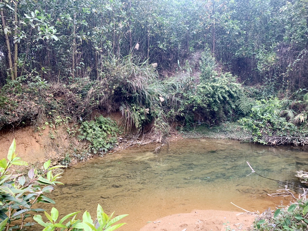 Móng Cái (Quảng Ninh): Hồ bỏ hoang, ruộng thiếu nước