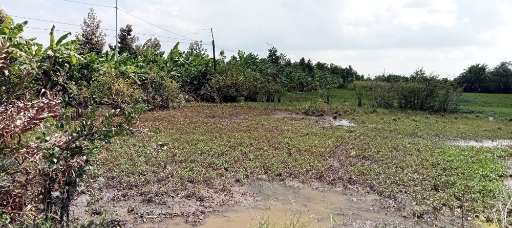 Sóc Trăng: Chấp thuận Công ty Dầu khí Nam Sông Hậu thuê hơn 107.000m2 đất trả tiền thuê đất một lần