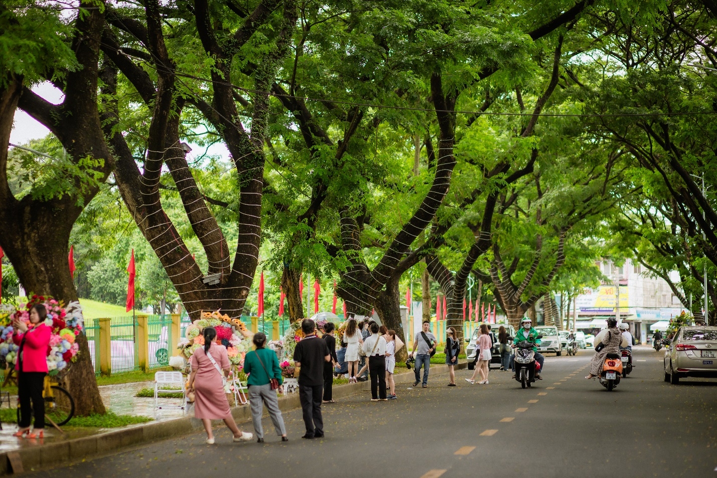 Việt kiều Mỹ bay hơn 13.000km để chụp ảnh trên con đường đẹp nhất Buôn Ma Thuột