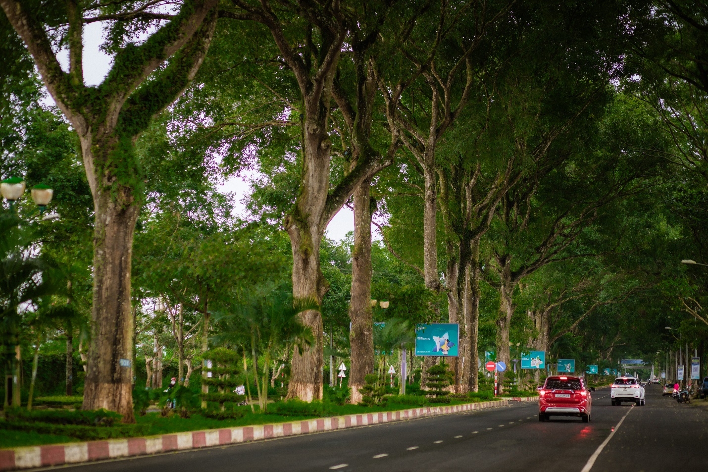 Việt kiều Mỹ bay hơn 13.000km để chụp ảnh trên con đường đẹp nhất Buôn Ma Thuột