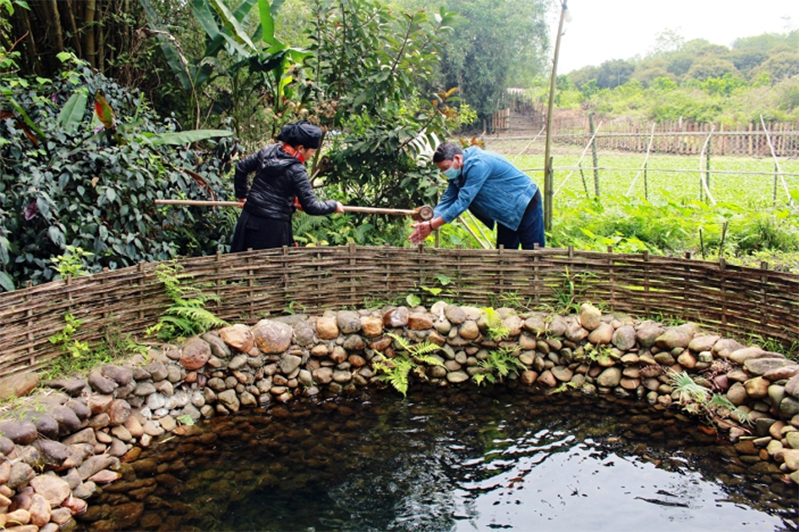 Độc đáo bản làng Tày xanh giữa thành phố Thái Nguyên