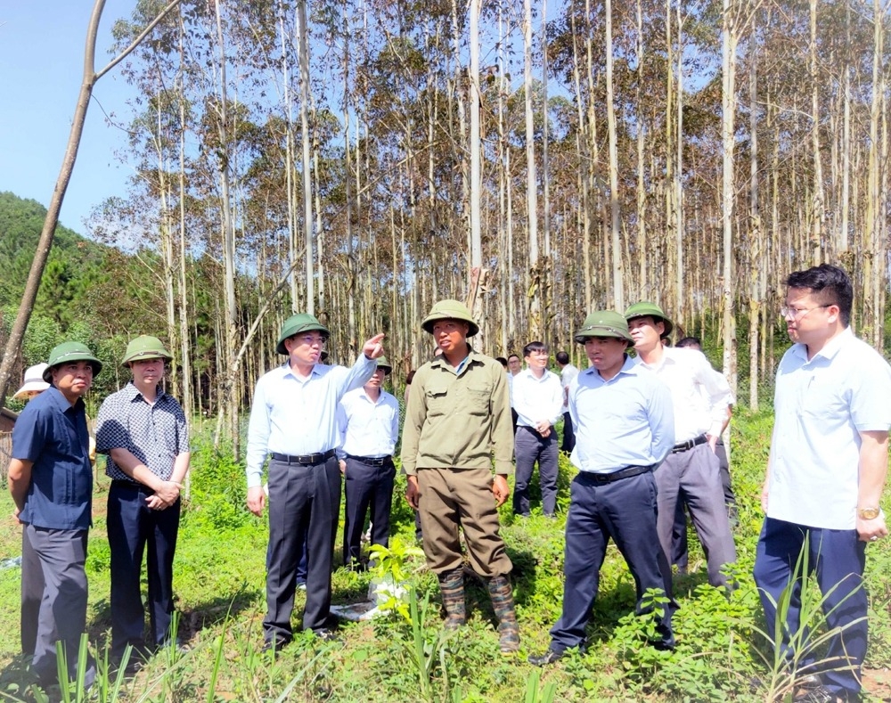 Quảng Ninh: Huyện nghèo nhất tỉnh đạt nông thôn mới