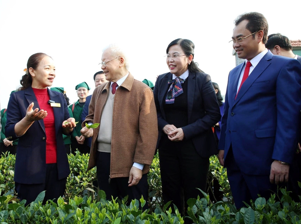 Thái Nguyên: Đơn giản hóa thủ tục hành chính, tạo điều kiện cho hợp tác xã tham gia các chương trình, dự án