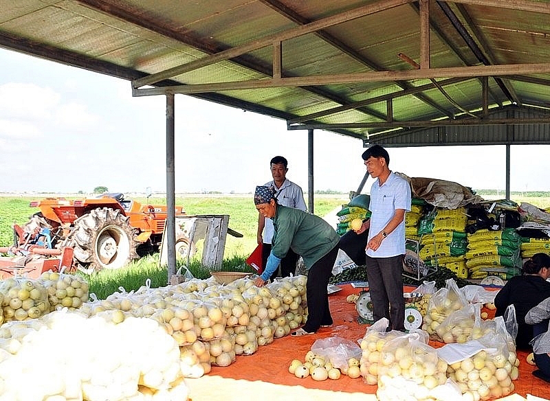 Nam Định: Huyện Giao Thủy chung sức, đồng lòng xây dựng nông thôn mới nâng cao, kiểu mẫu