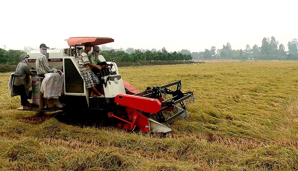 Đồng bằng sông Cửu Long: Khởi động Đề án phát triển bền vững 01 triệu ha chuyên canh lúa chất lượng cao