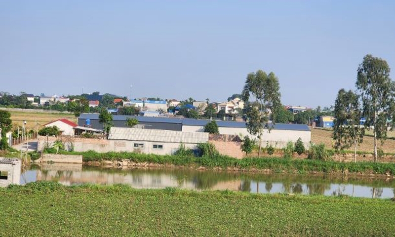 Hưng Hà (Thái Bình): Hàng nghìn m2 nhà xưởng xây dựng trái phép trên đất nông nghiệp tại thị trấn Hưng Nhân