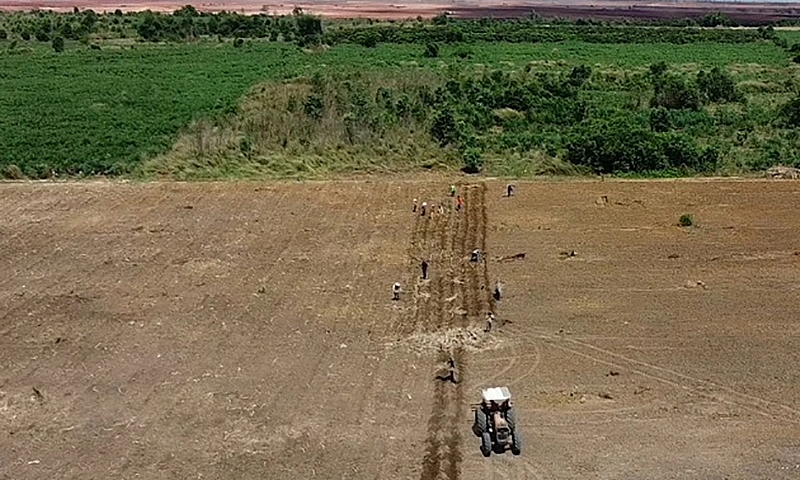 Sân bay Long Thành: Người dân hoàn trả đất đã chiếm dụng