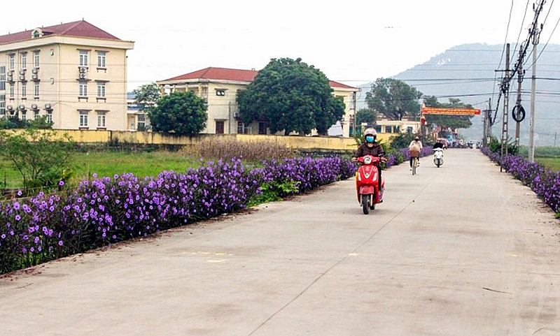 Thái Nguyên: Xây dựng nông thôn mới góp phần phát triển hạ tầng kinh tế - xã hội