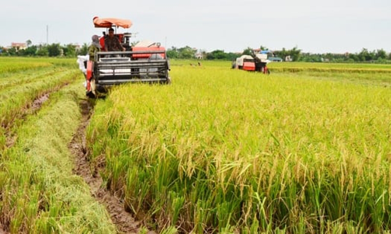 Thái Bình hướng tới trở thành trung tâm sản xuất nông nghiệp hàng đầu Vùng đồng bằng sông Hồng