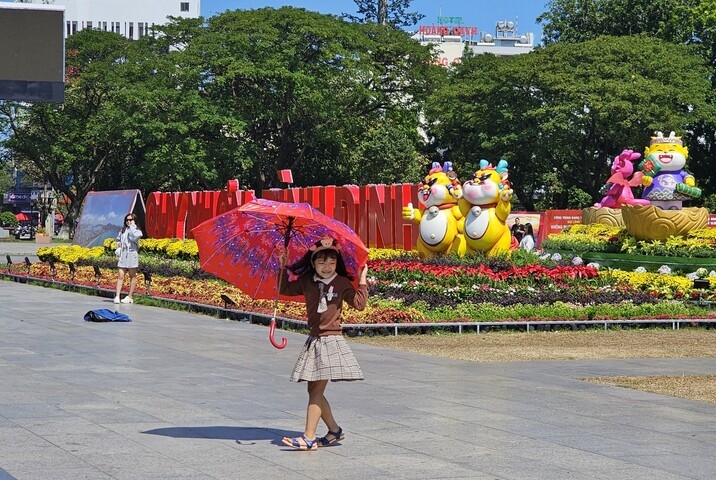 Bình Định: Quy Nhơn lung linh sắc màu đón Tết