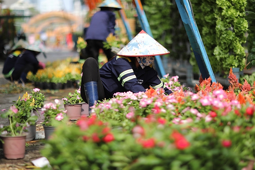 Thành phố Hồ Chí Minh: Toàn cảnh đường hoa Nguyễn Huệ trước giờ khai mạc