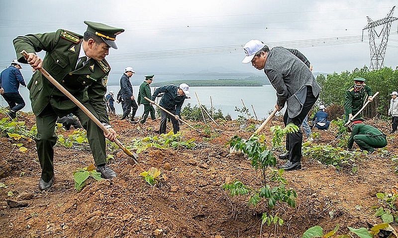 Thủ tướng chỉ thị tổ chức Tết trồng cây, tăng cường công tác quản lý, bảo vệ, phát triển rừng