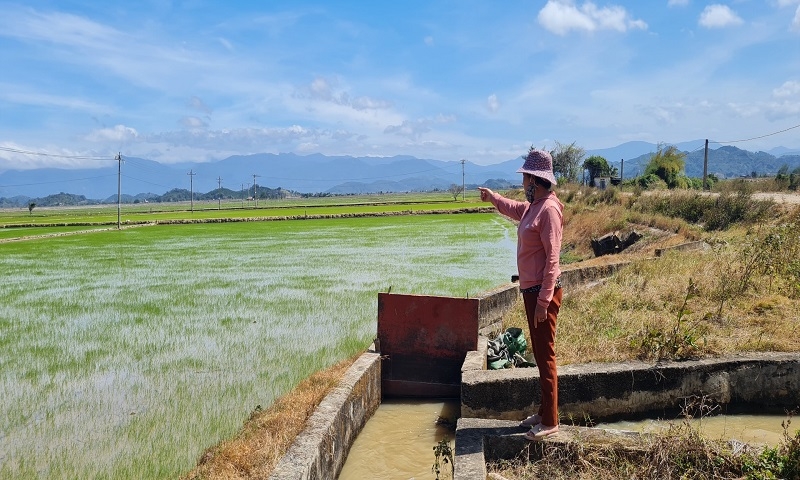 Đắk Lắk: Sở Thông tin và Truyền thông đề nghị phản hồi thông tin phản ánh đăng trên Báo điện tử Xây dựng