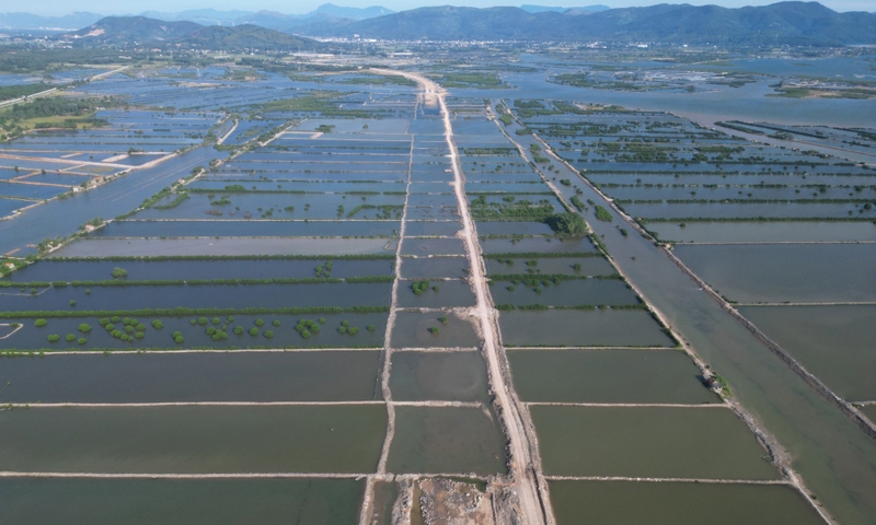 Quảng Ninh đề xuất được mở rộng thí điểm dùng cát biển làm nền đường giao thông