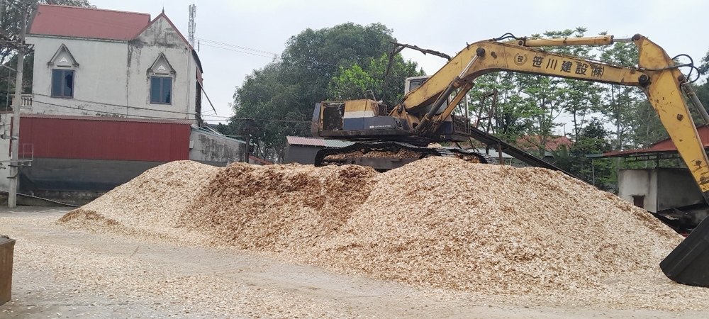 Thạch Thành (Thanh Hóa): “Trên quyết liệt, dưới thờ ơ” trong xử lý các xưởng thu mua, chế biến gỗ keo vi phạm