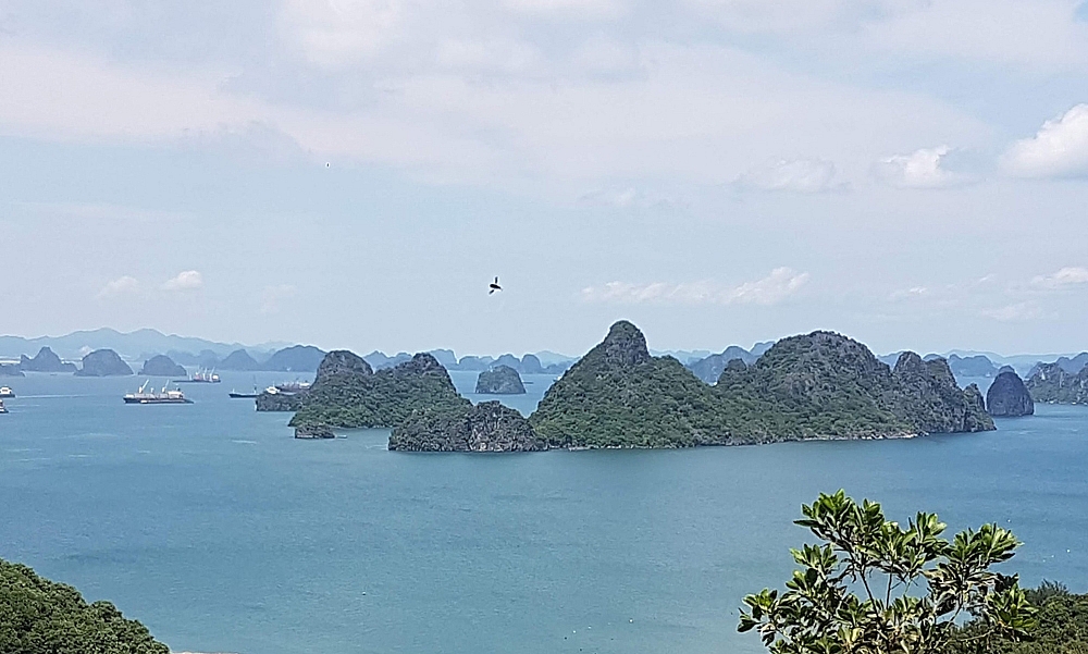 Quảng Ninh: Kinh tế biển “tăng nuôi trồng, giảm khai thác”