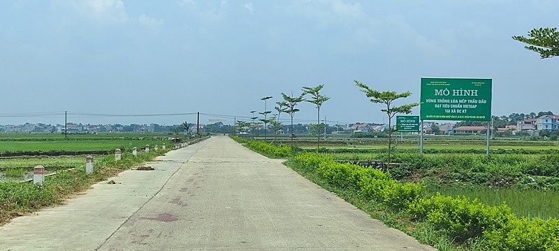 Thái Nguyên: Tiếp tục tập trung mọi nguồn lực cho xây dựng nông thôn mới