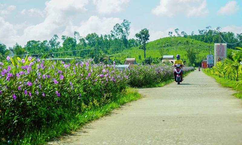 Quảng Nam: Phân bổ 32,5 tỷ đồng xây dựng nông thôn mới năm 2024