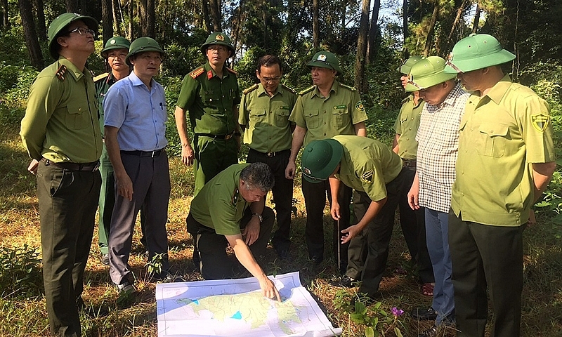 Hà Tĩnh: Chủ động phòng, chống cháy rừng trong cao điểm nắng nóng