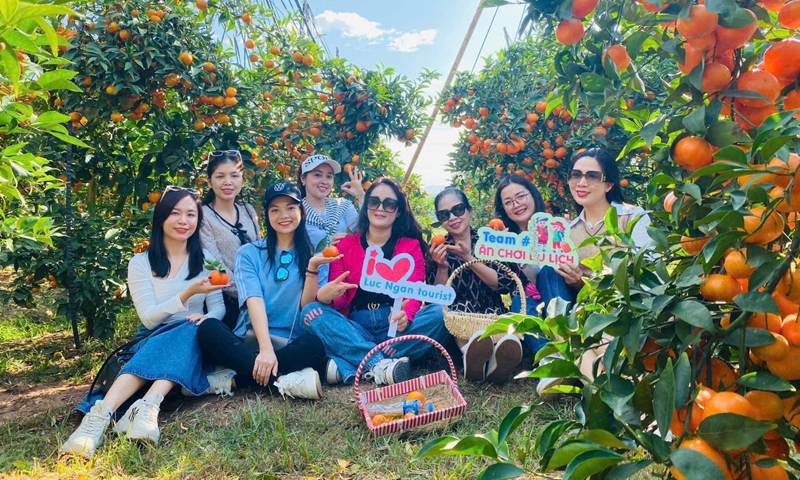 Lục Ngạn (Bắc Giang): Tập trung phát triển ngành Du lịch, dịch vụ