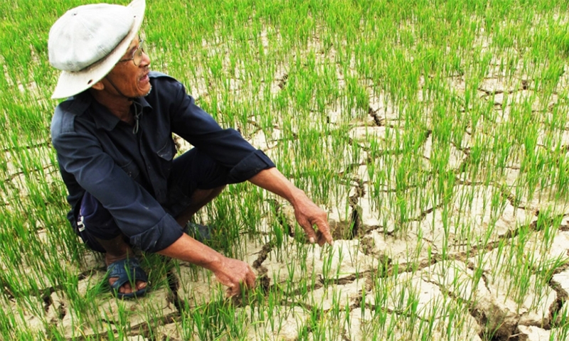 Nam Định: Tăng cường thực hiện các biện pháp phòng, chống nắng nóng, hạn hán, thiếu nước, xâm nhập mặn trên địa bàn