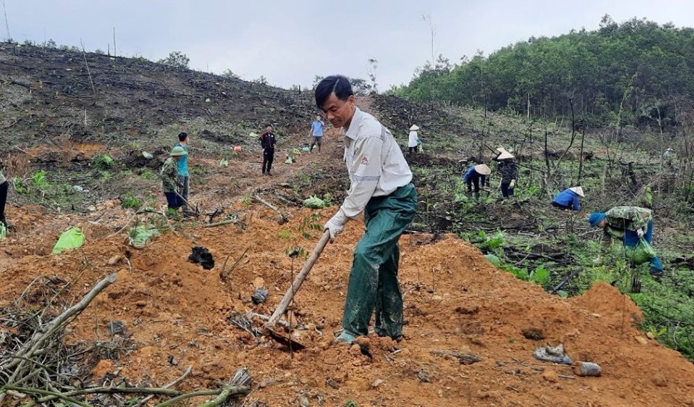 Quảng Ninh: Xã Hòa Bình xây dựng nông thôn theo hướng phát triển đô thị