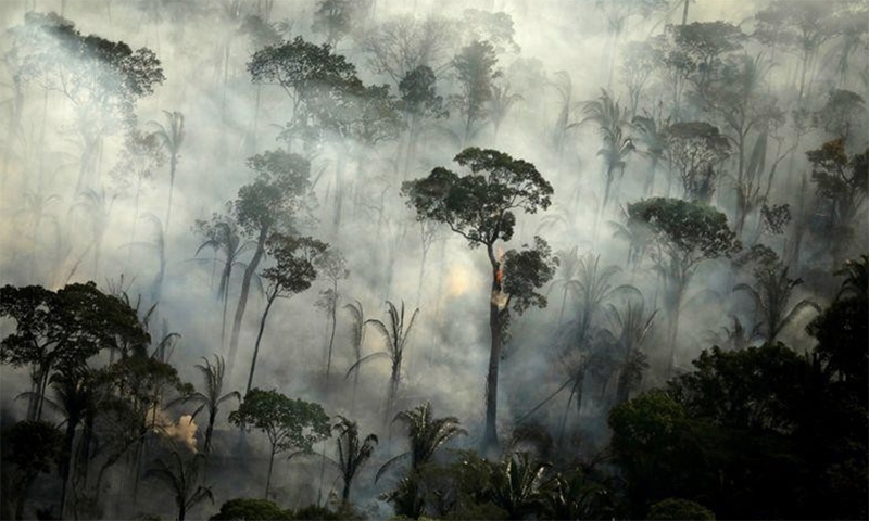 Bảo vệ rừng nhiệt đới Amazon