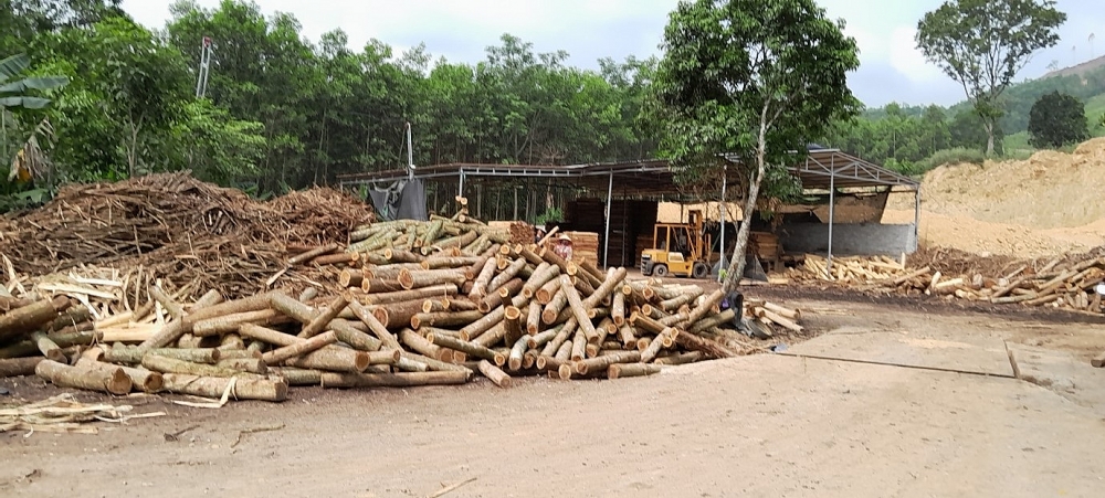 Như Thanh (Thanh Hóa): Nhiều cơ sở vẫn ngang nhiên xây dựng và hoạt động các nhà xưởng, điểm thu mua, chế biến gỗ keo trái phép