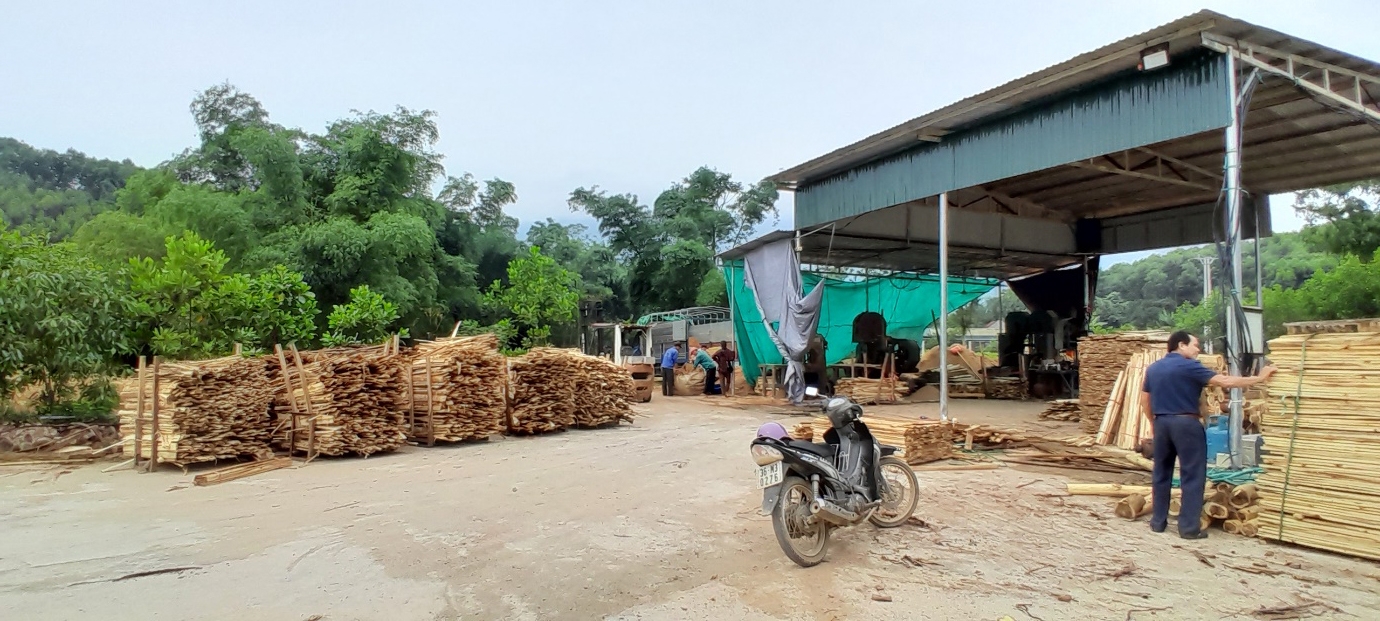 Như Xuân (Thanh Hóa): Cần xử lý nghiêm vụ san lấp, xây dựng trái phép trên gần 2.000m2 đất nông nghiệp để thu mua, chế biến lâm sản