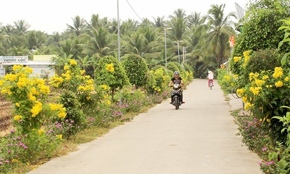 Trà Vinh: Hoàn thành 7/8 nội dung thực hiện nhiệm vụ xây dựng nông thôn mới