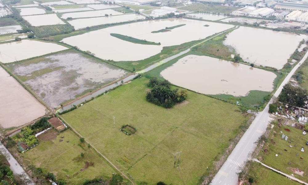 Long An: Chuyển mục đích sử dụng đất để thực hiện Dự án Cụm công nghiệp Đông Quang