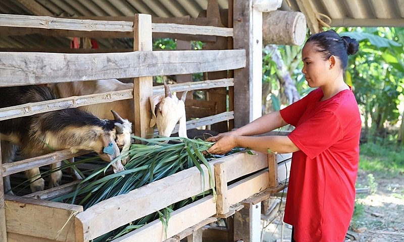 Hà Tĩnh: Đẩy mạnh giải ngân nguồn vốn Chương trình mục tiêu quốc gia giảm nghèo bền vững